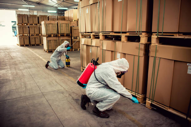 Best Ant Control Services  in Trezevant, TN