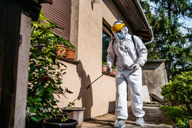 Best Pest Control Treatment  in Trezevant, TN