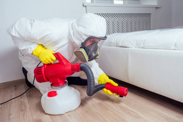 Best Affordable Pest Control Services  in Trezevant, TN