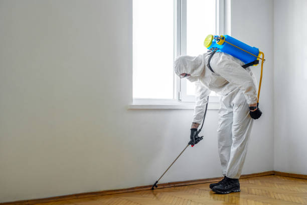 Best Ant Control Services  in Trezevant, TN