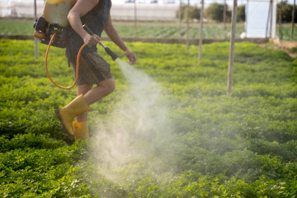 Best Residential Pest Control  in Trezevant, TN