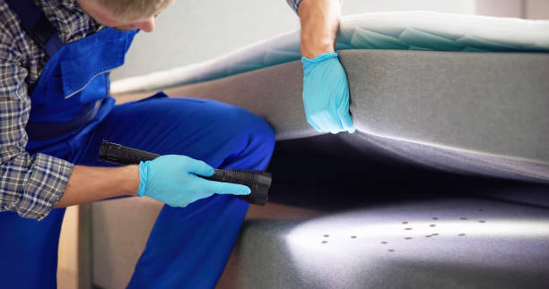 Best Pest Inspection Near Me  in Trezevant, TN