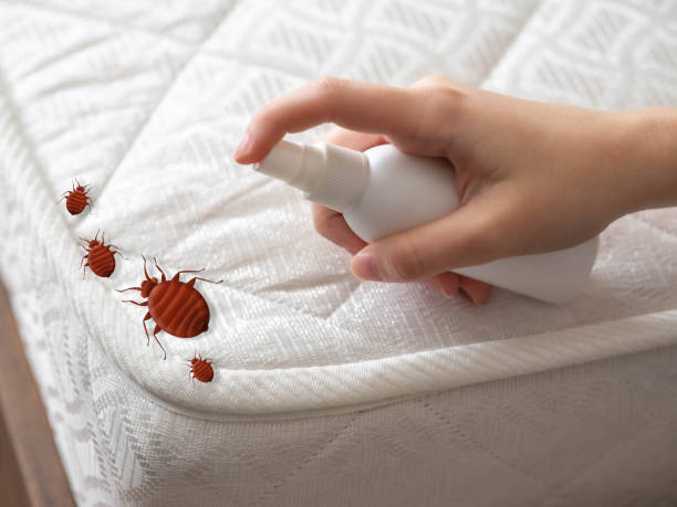  Trezevant, TN Pest Control Pros