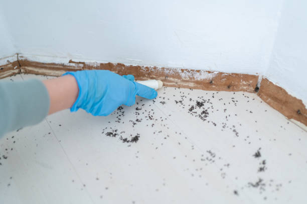 Best Pest Prevention Services  in Trezevant, TN