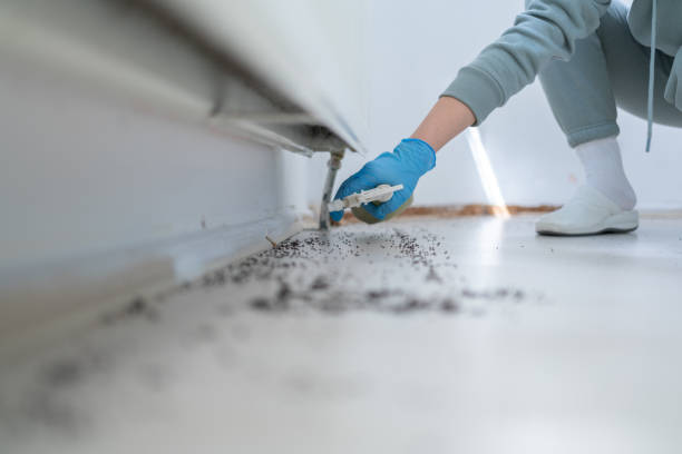 Best Wasp Removal Services  in Trezevant, TN