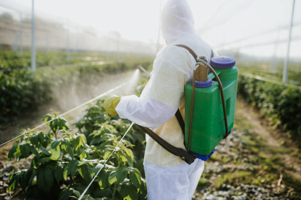 Best Best Pest Control Companies  in Trezevant, TN